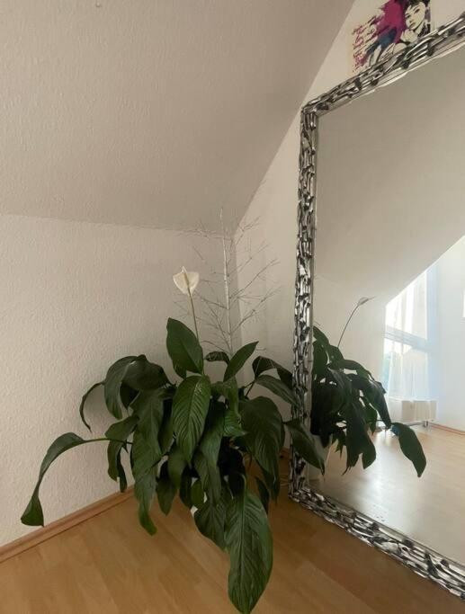 Dresden Escape Schicke 2 Zimmer Wohnung Εξωτερικό φωτογραφία